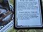 Arkham Horror - 