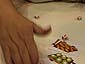 Sushi Dice -