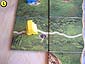 Carcassonne - Mayflower - 