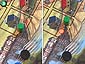 Caylus - 