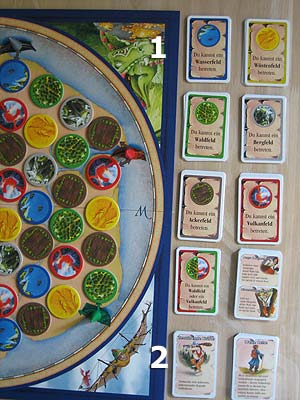 Die Dracheninsel - Spielkarten