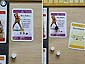 Im Wandel der Zeiten - 