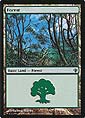 Magic the Gathering - Archenemy - Forest