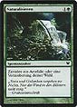 Magic the Gathering - Innistrad - Naturalisieren