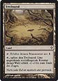 Magic the Gathering - Weltenerwachen - Treibsand