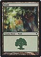 Magic the Gathering - Zendikar - 