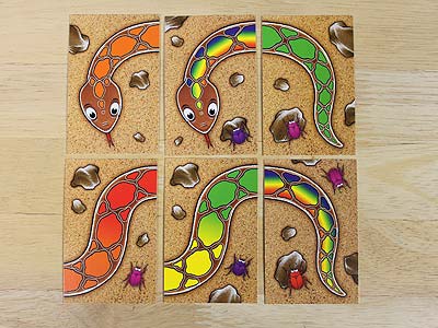 Regenbogenschlange - Jubiläumsedition - Spielkarten