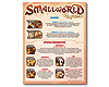 Small World - Verflucht! - Spielanleitung
