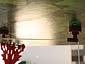 Spinderella - 