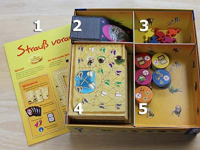 Strauß voraus! - Spielmaterial