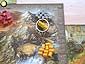 Stone Age - 