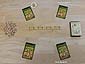 Wizard Junior - 