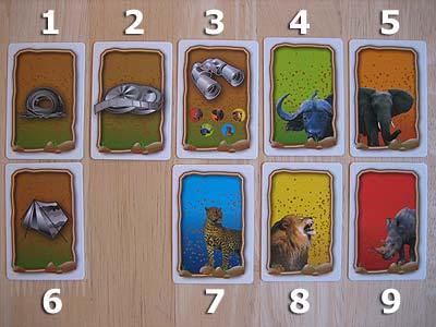 Wildlife - Spielkarten