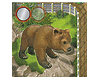 Zooloretto - Grizzly